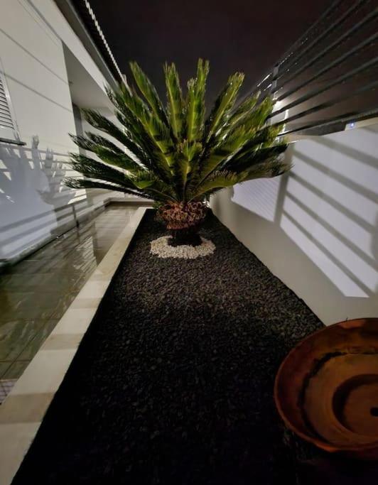 Vila Da Pesca House Rabo de Peixe Exterior photo